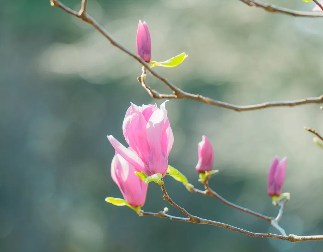 晋宁 诗意的栖居地