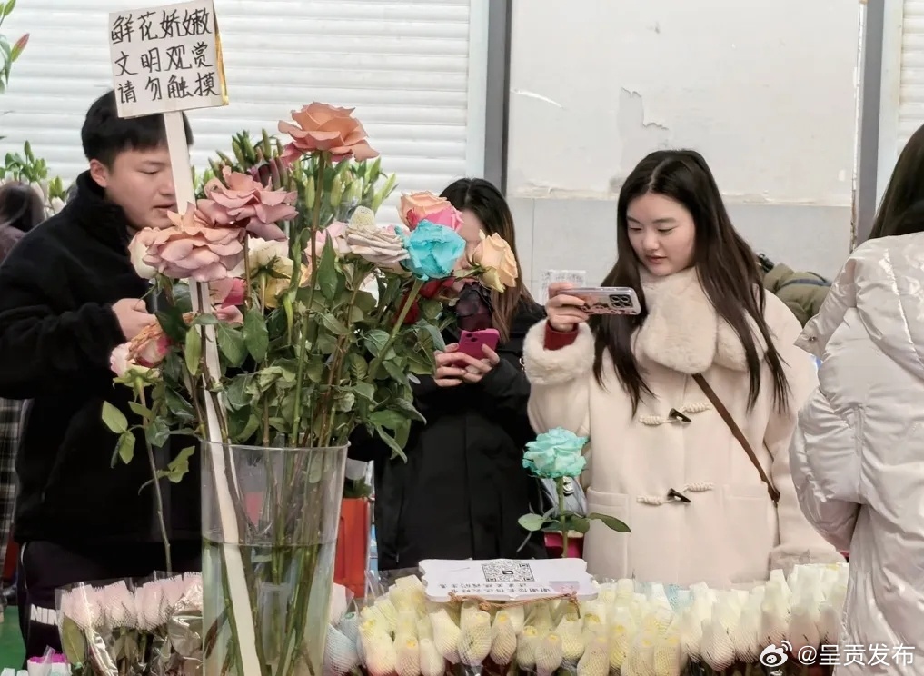 呈贡发布