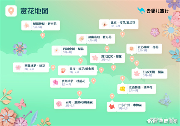 “追花游”成今春新潮流 云南赏花搜索热度持续攀升