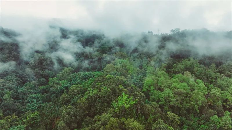 红河文旅