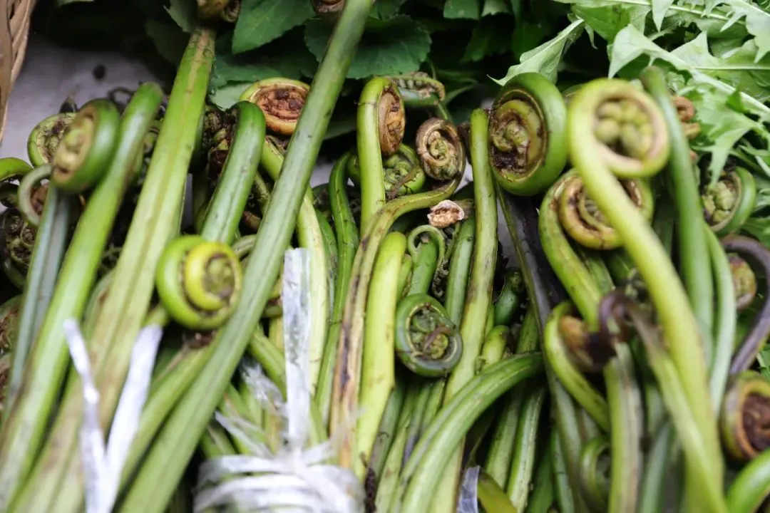 FM105城市生活广播