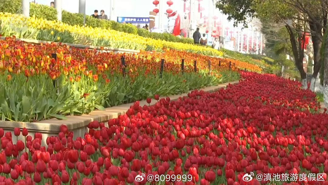 滇池旅游度假区