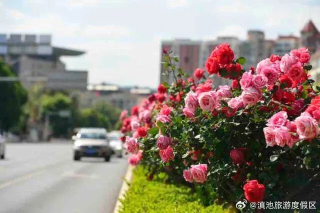 滇池旅游度假区