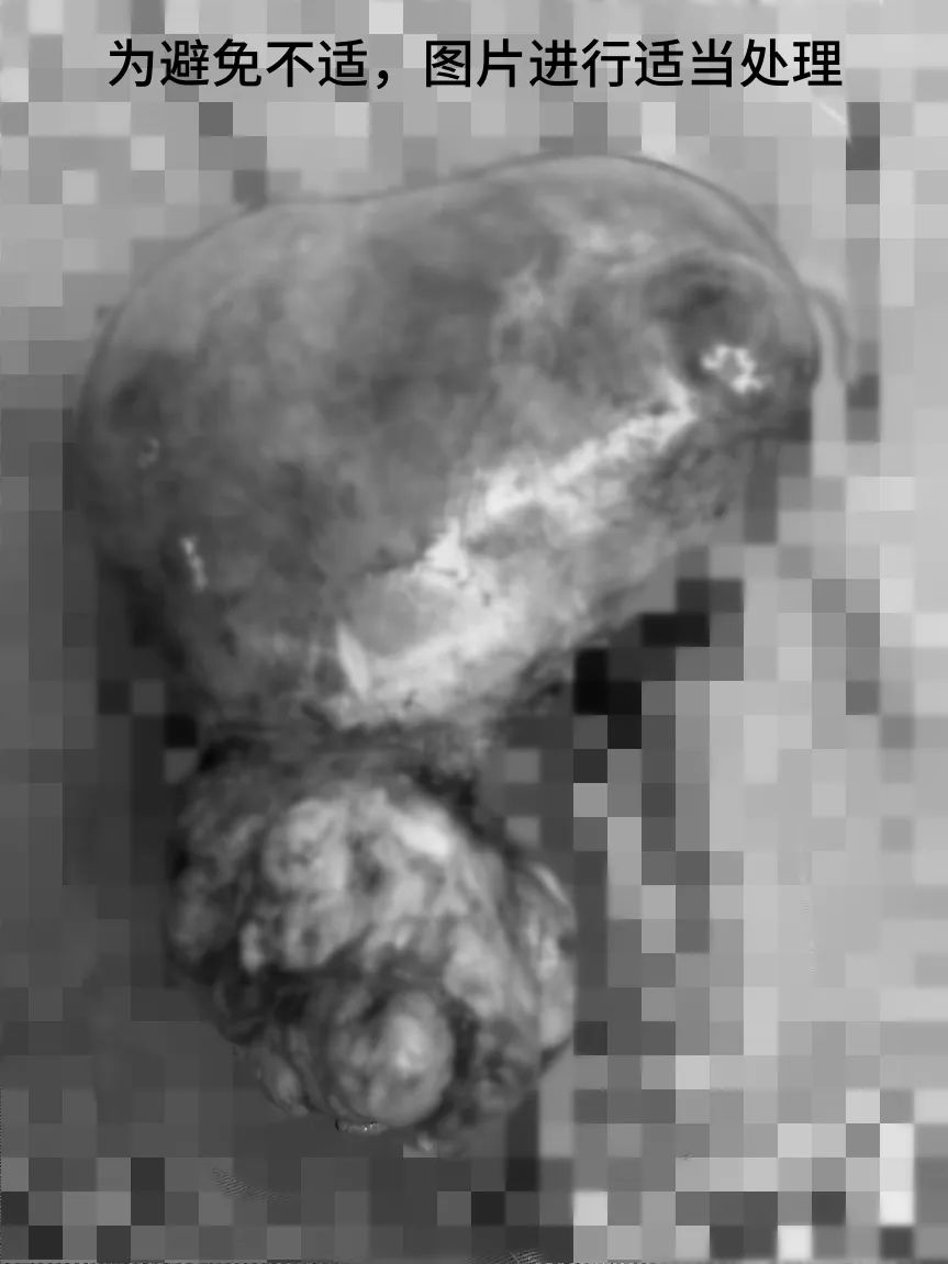 云南省第三人民医院