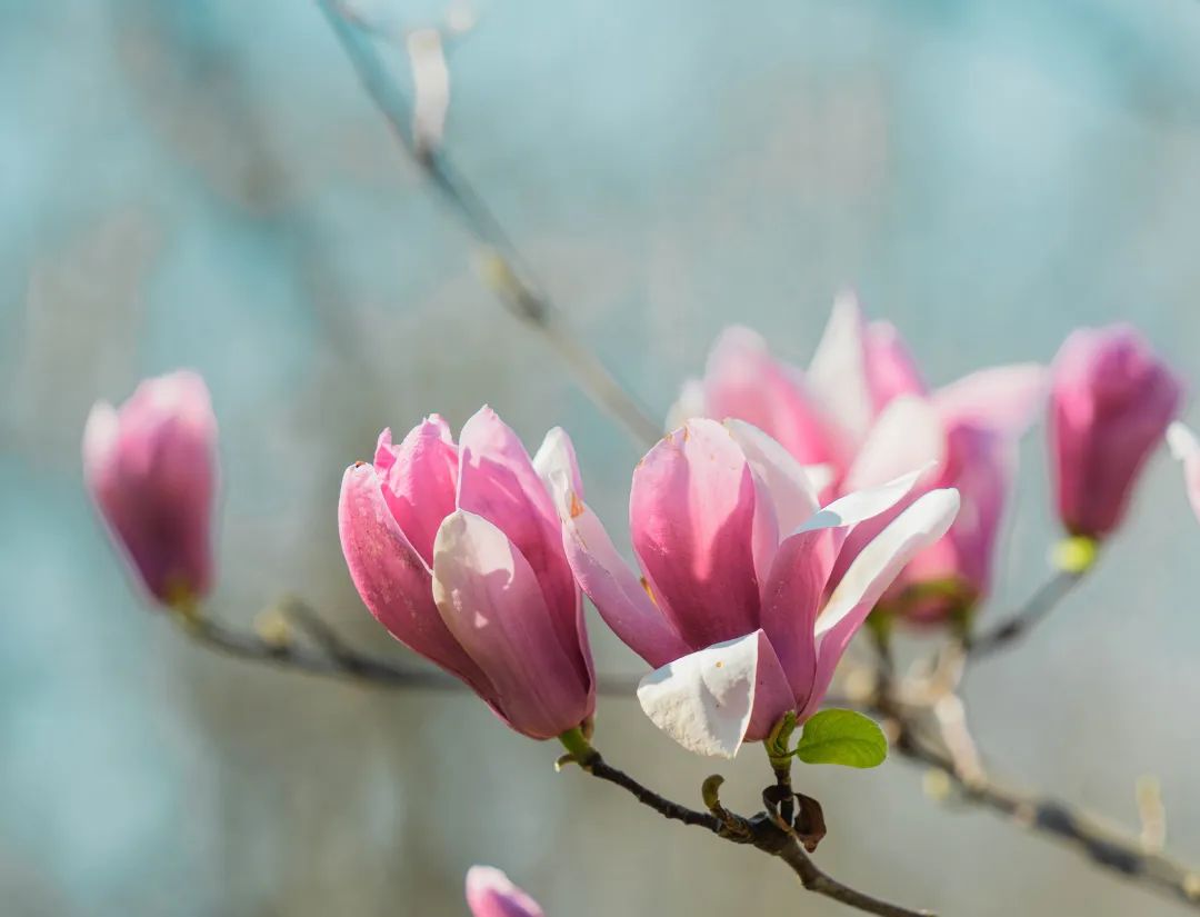 晋宁 诗意的栖居地