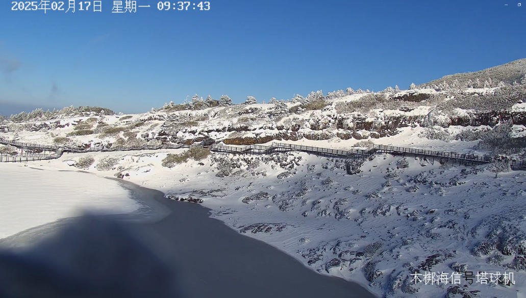 8099999街头巷尾微信