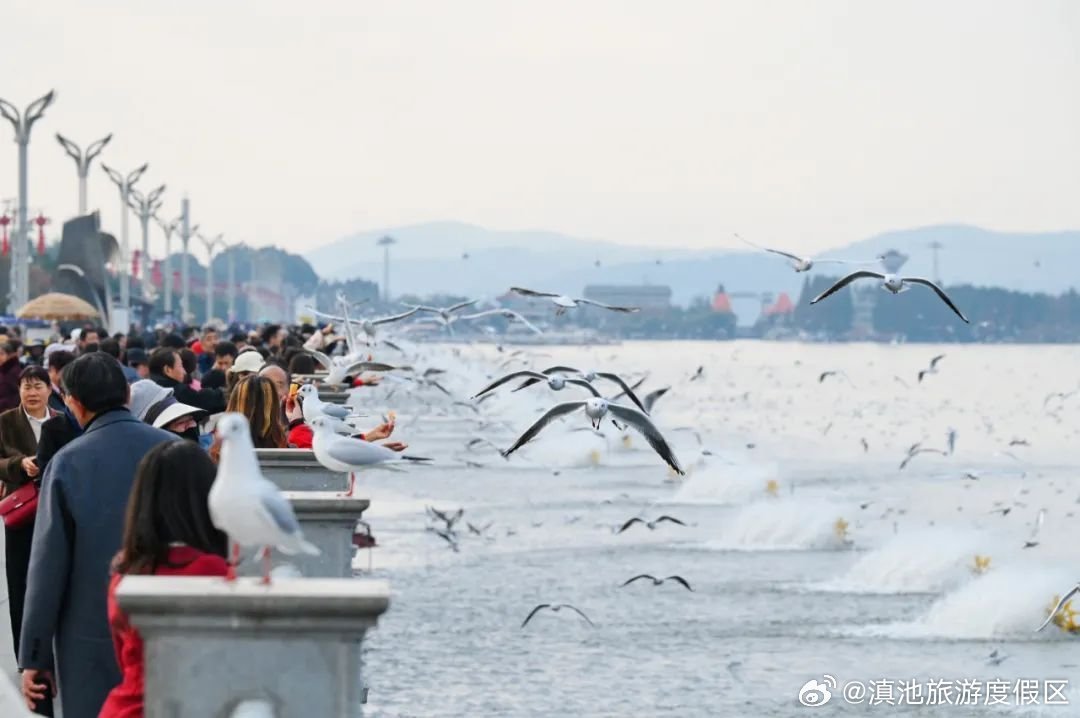 滇池旅游度假区