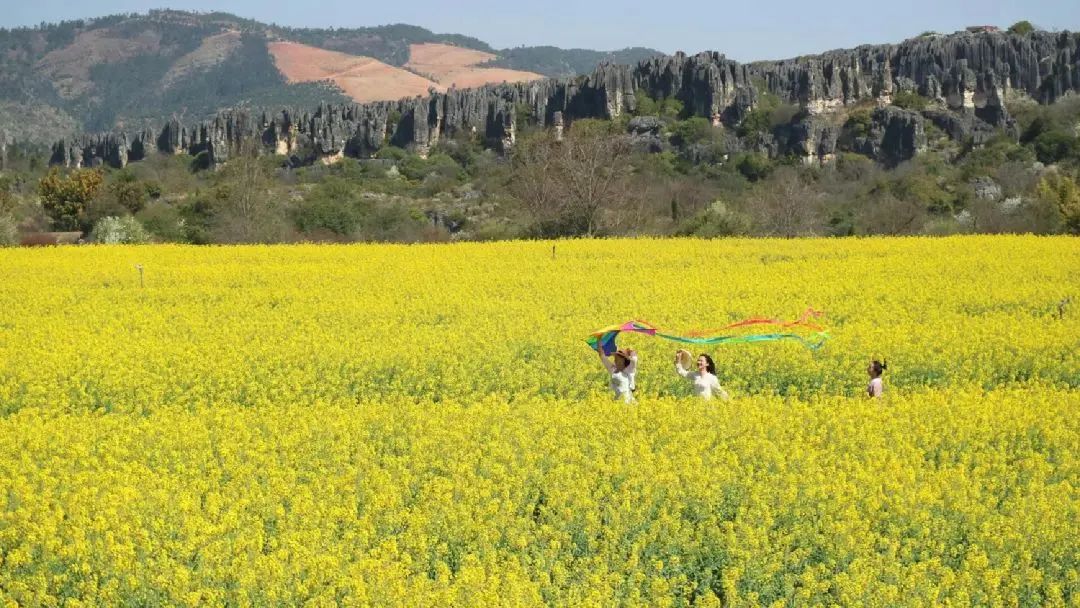 昆明公共文化云