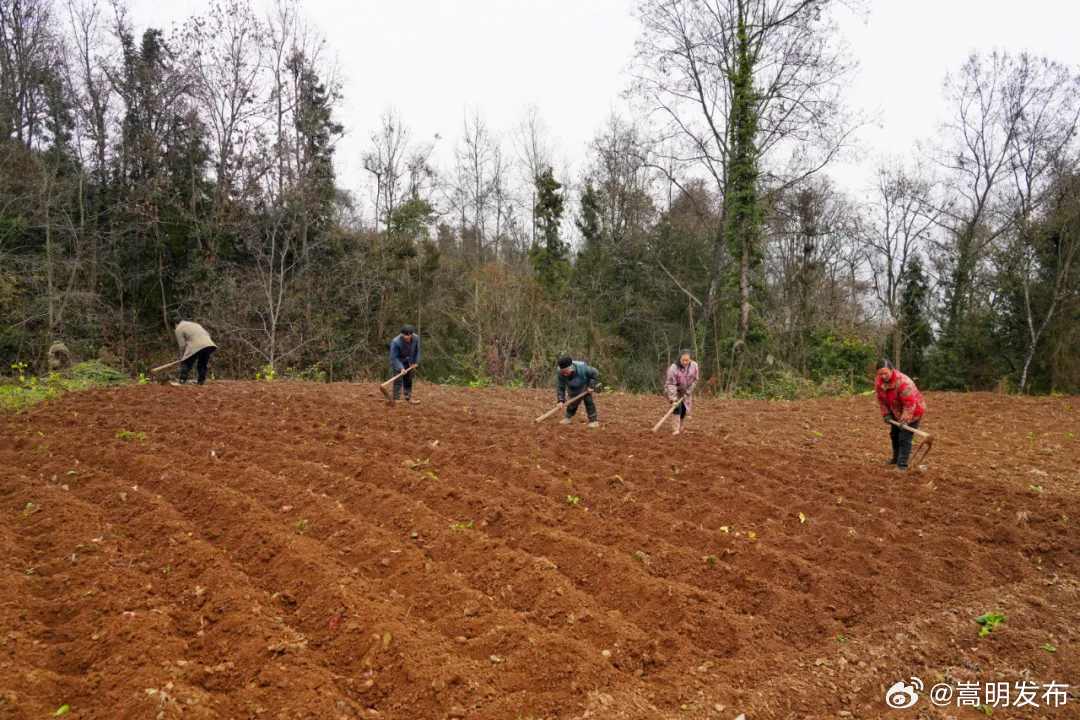 永善：万象“耕”新正当时