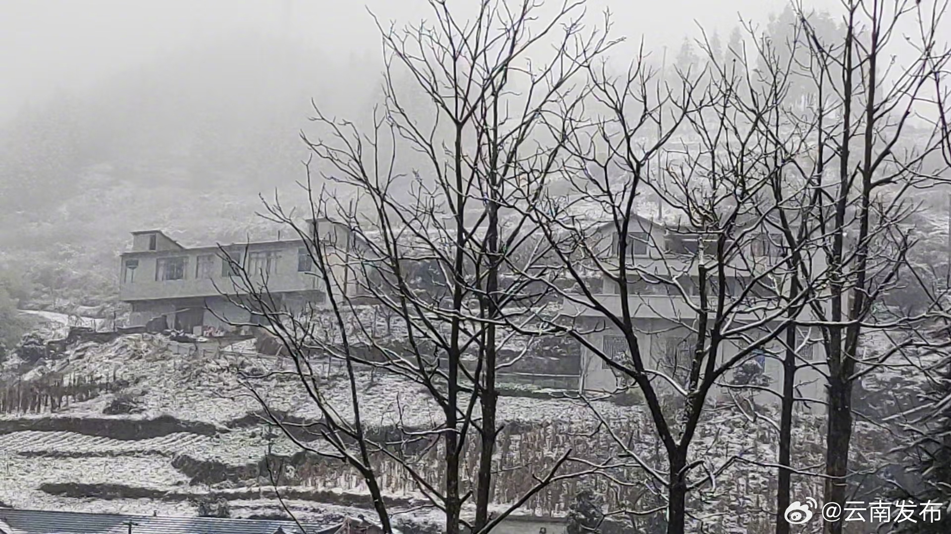 云南发布