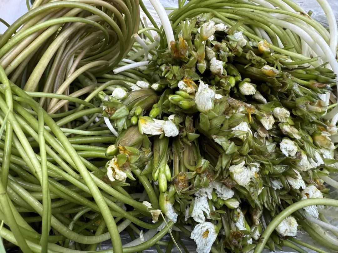 晋宁 诗意的栖居地