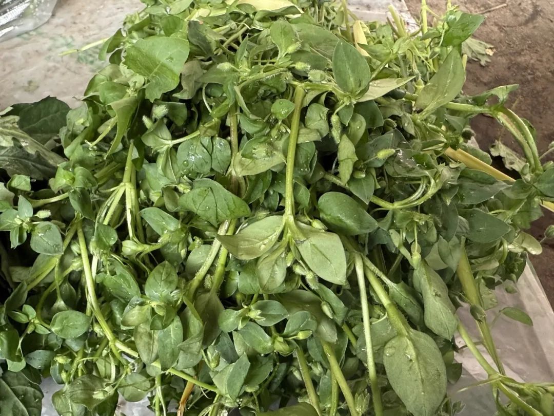 晋宁 诗意的栖居地