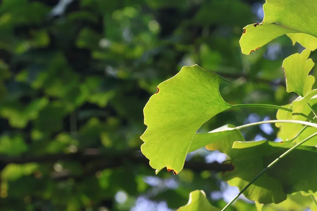 晋宁 诗意的栖居地