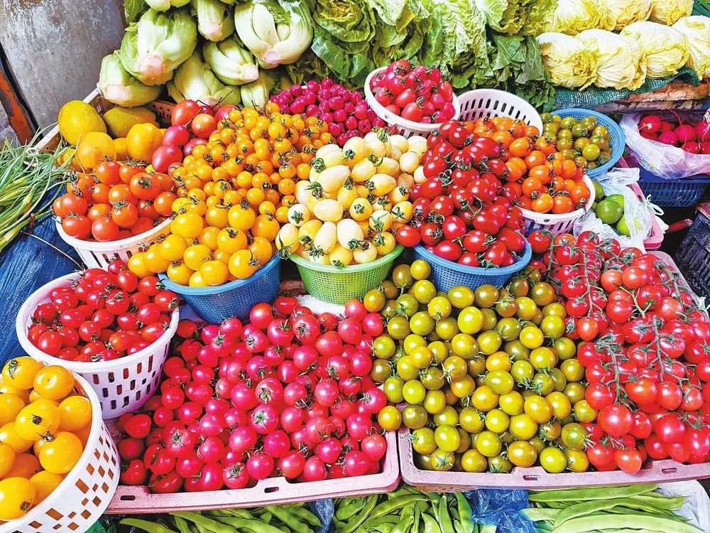 云南广播电视台