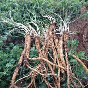 昆明市中医医院