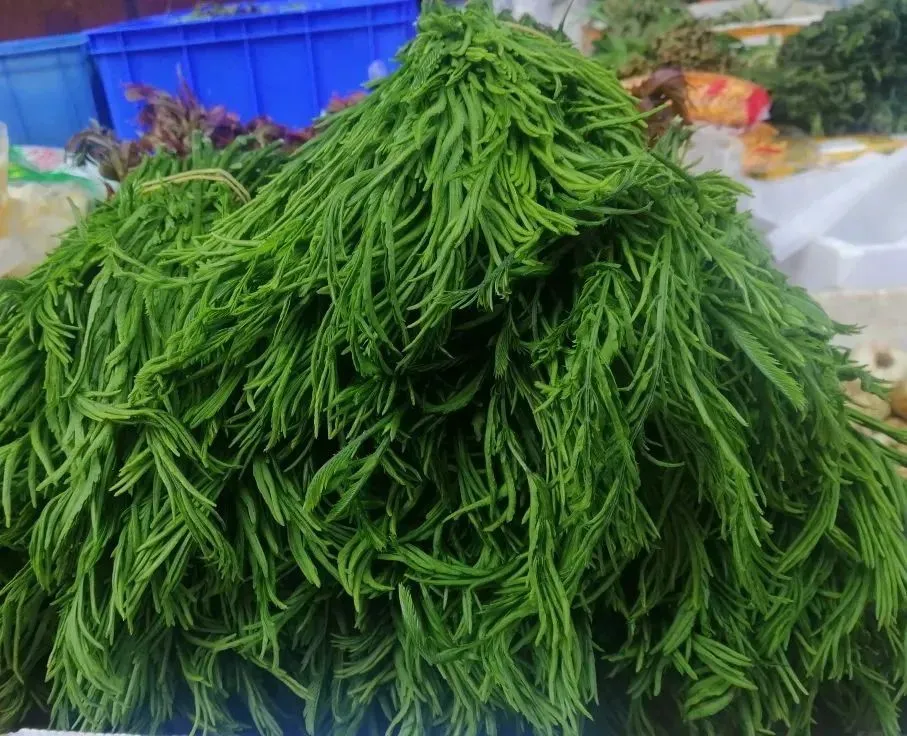 FM105城市生活广播