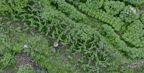 昆明广播电视台经济生活频道