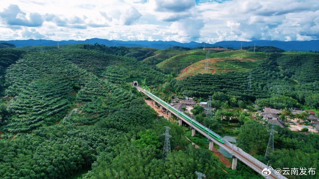 中老铁路跨境客货运输实现“开门红”