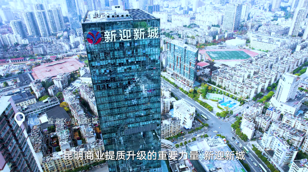 微观盘龙