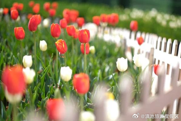 滇池旅游度假区