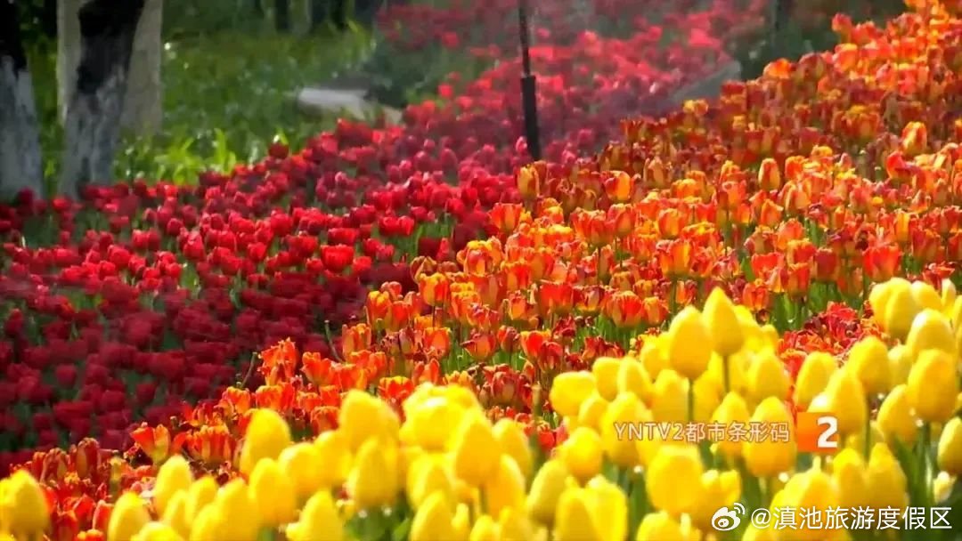 滇池旅游度假区