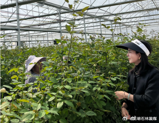 石林新风采丨马爱华：以科技农业赋能乡村振兴的巾帼新农人