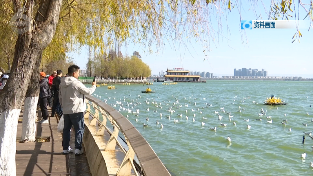 昆明公共文化云