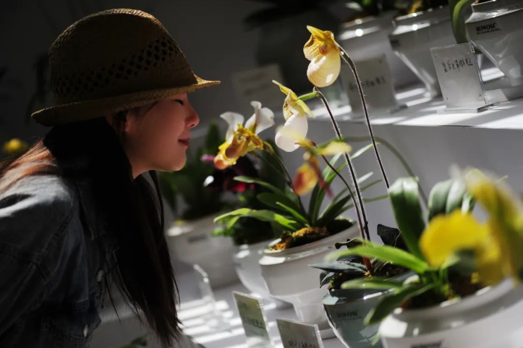 昆明市金殿名胜区