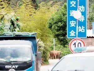 云南依法治省