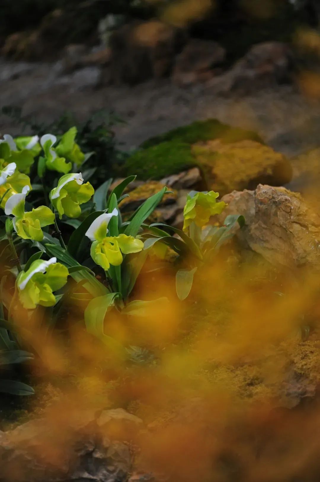 昆明市金殿名胜区