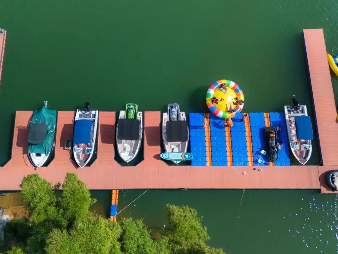 西双版纳望天树景区