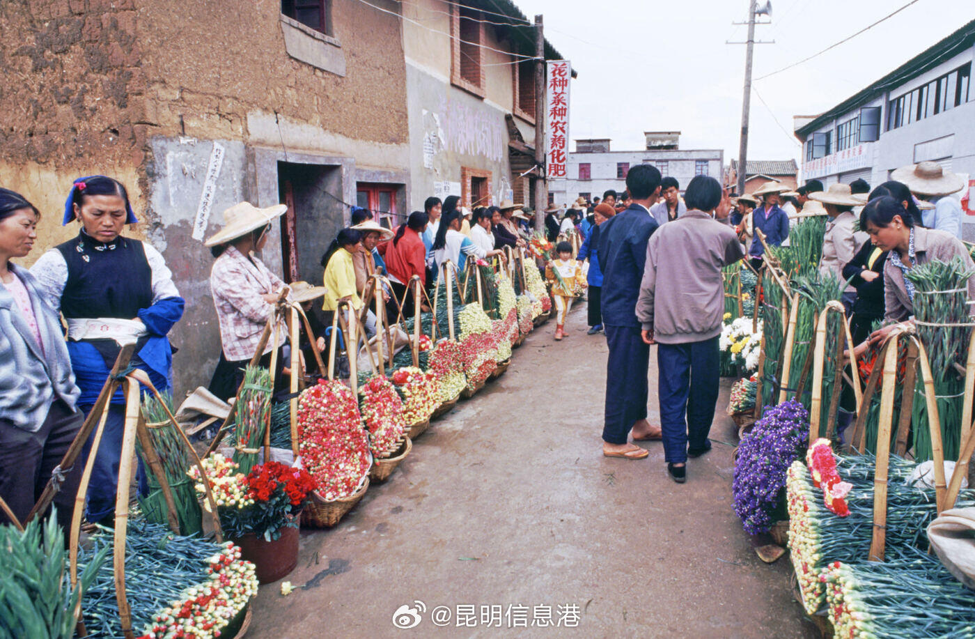 昆明信息港微博