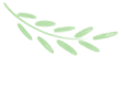 石林融媒