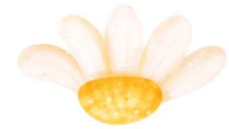 晋宁 诗意的栖居地