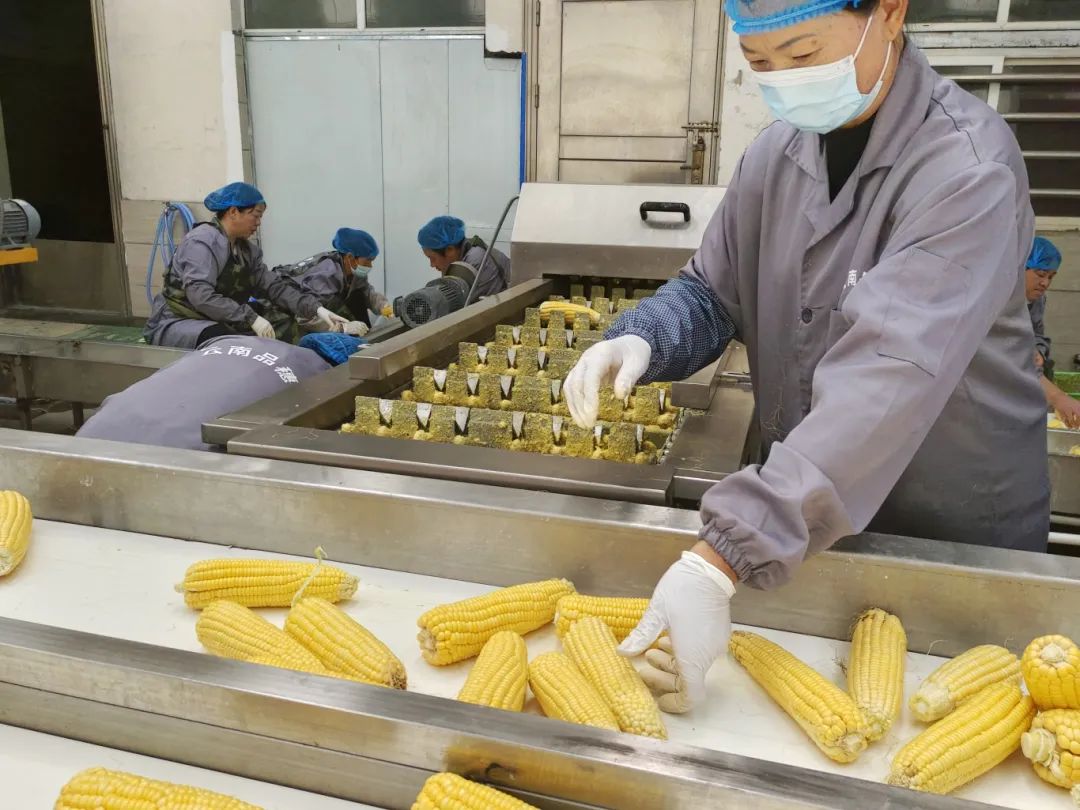 爱上富民
