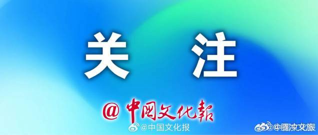 开始申报！文化和旅游部组织实施2025年全国美术馆青年策展人扶持计划