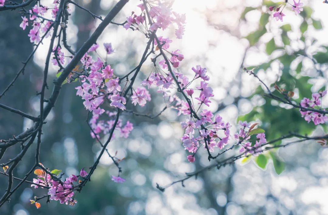 晋宁 诗意的栖居地