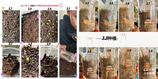 昆明西山教育体育