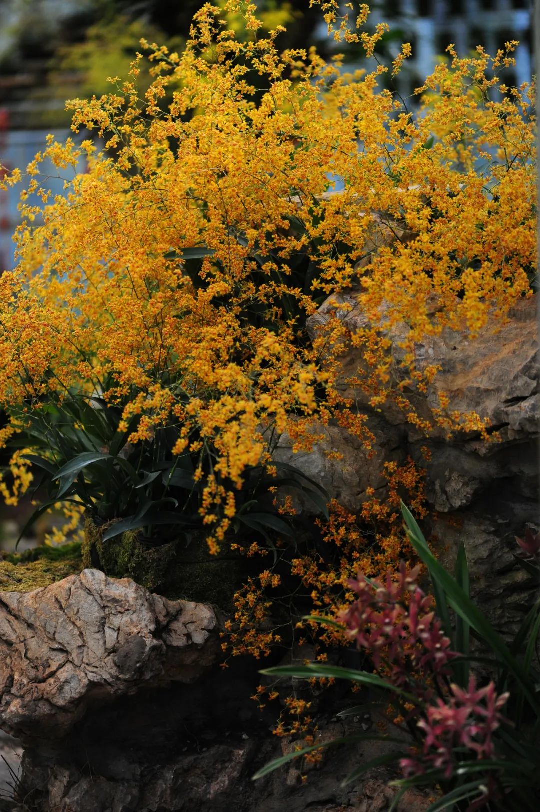 昆明市金殿名胜区