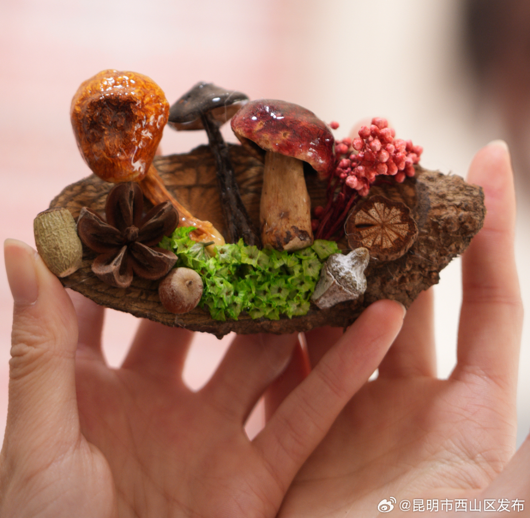 昆明市西山区发布