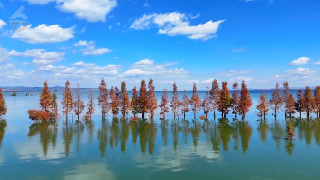 昆明公共文化云