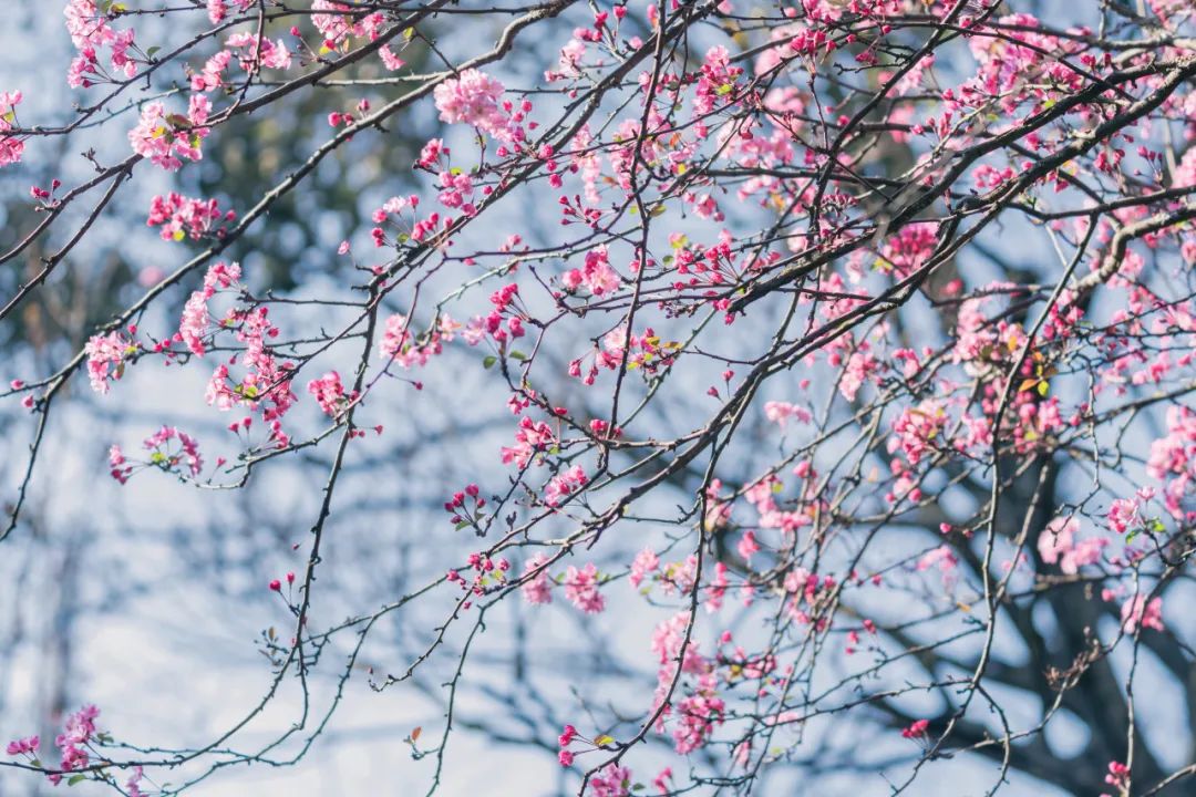 晋宁 诗意的栖居地