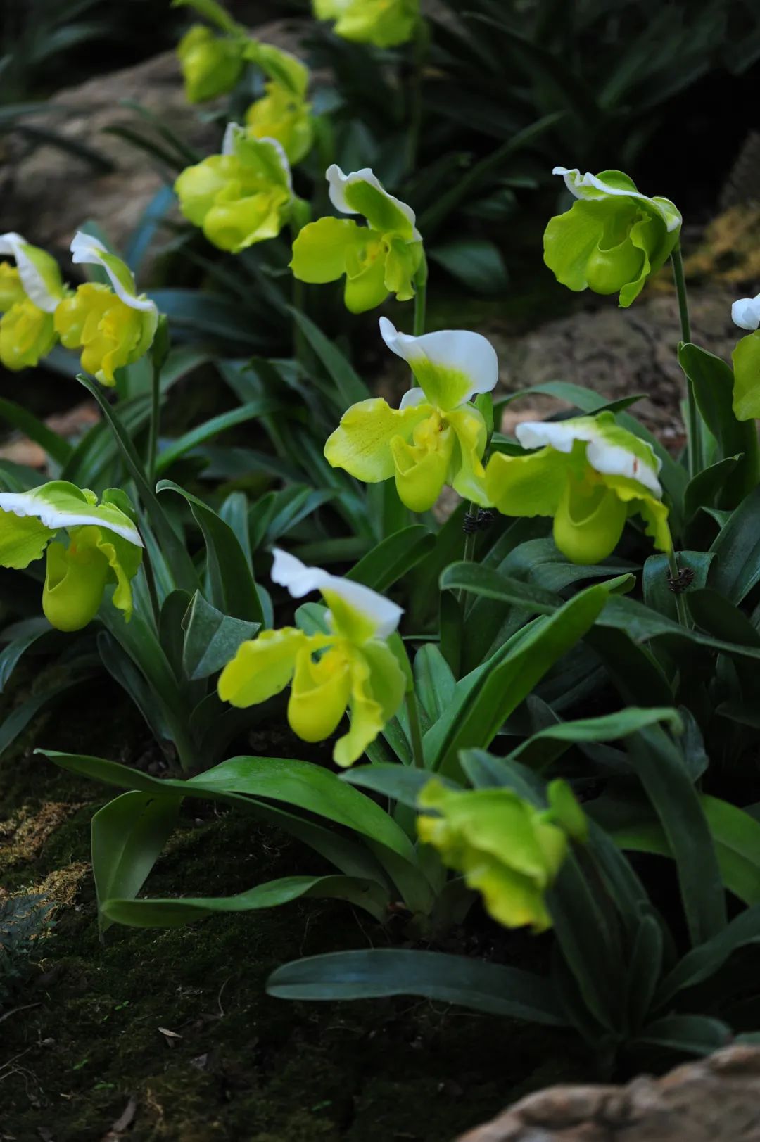 昆明市金殿名胜区