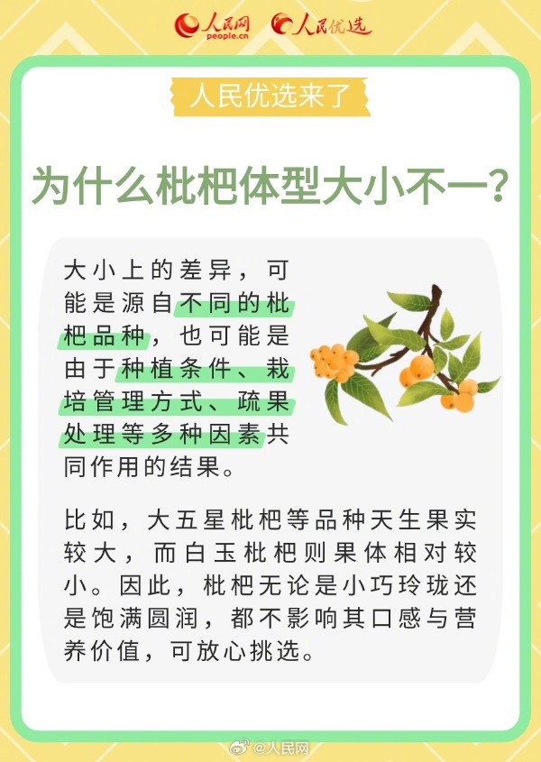 人民网