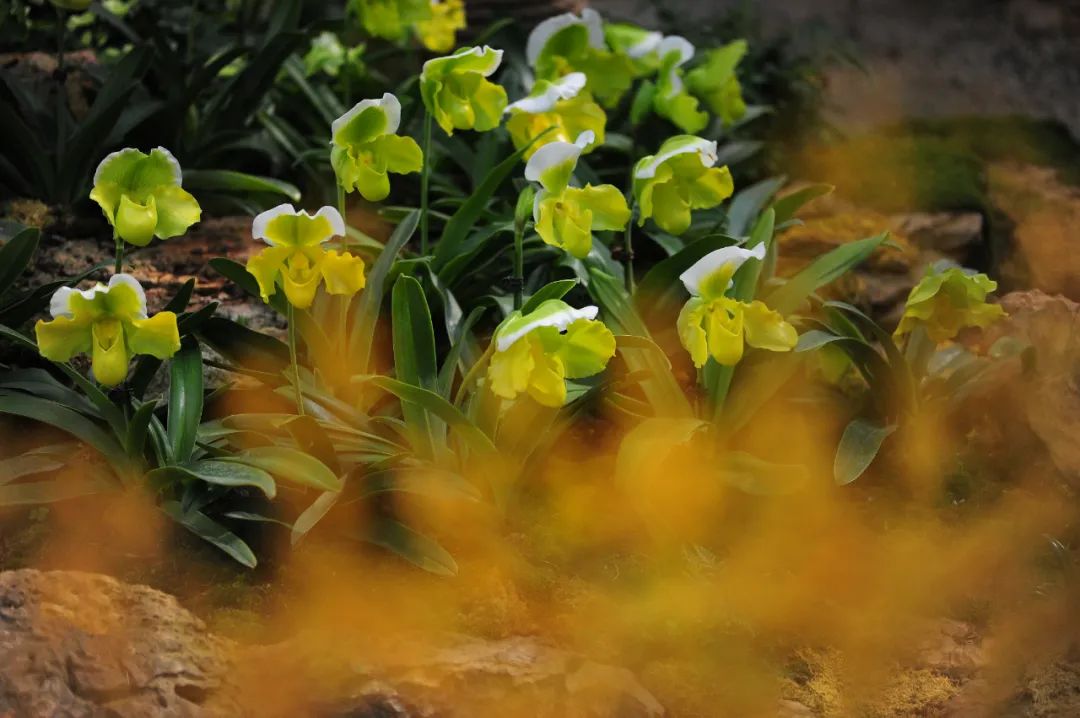 昆明市金殿名胜区