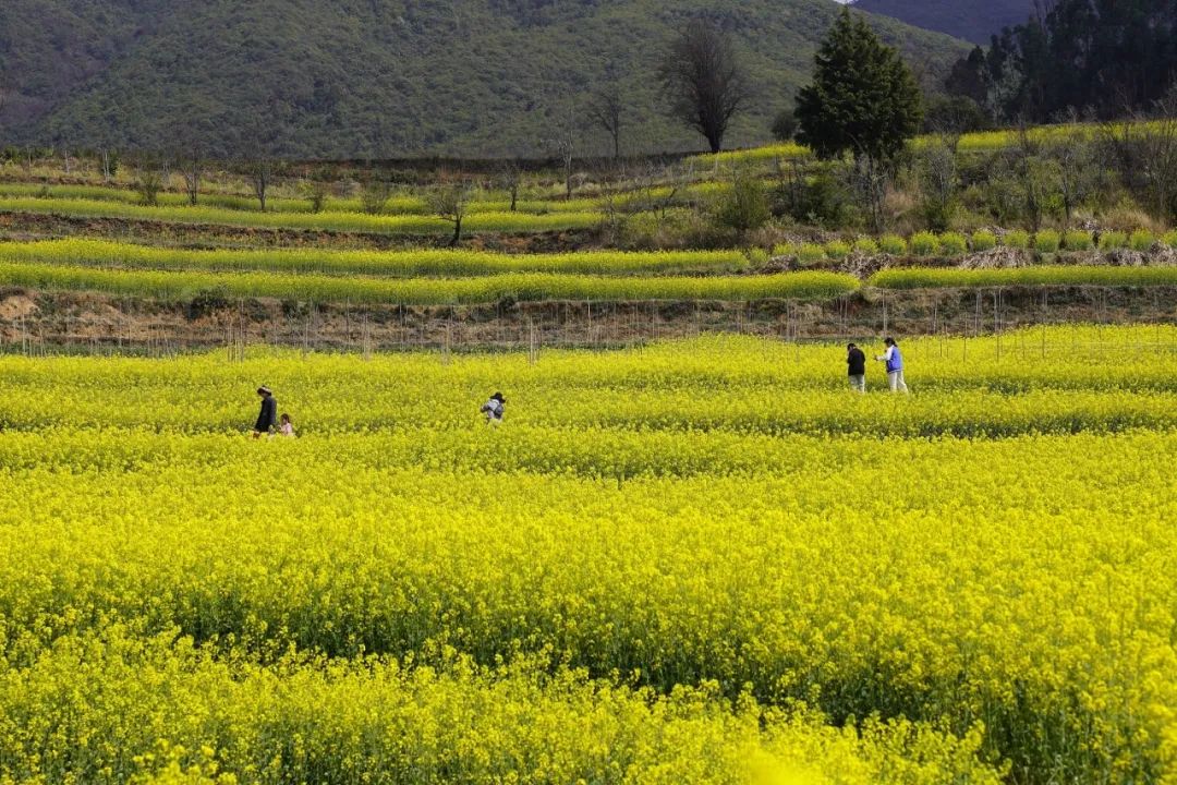 晋宁 诗意的栖居地