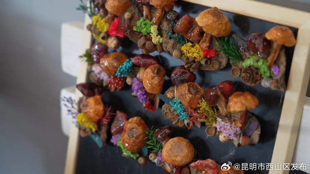 昆明市西山区发布