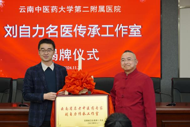 云南中医药大学第二附属医院