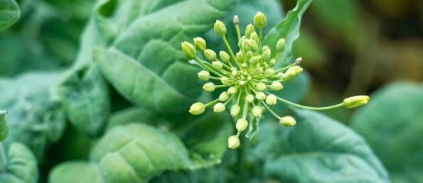 昆明市中医医院