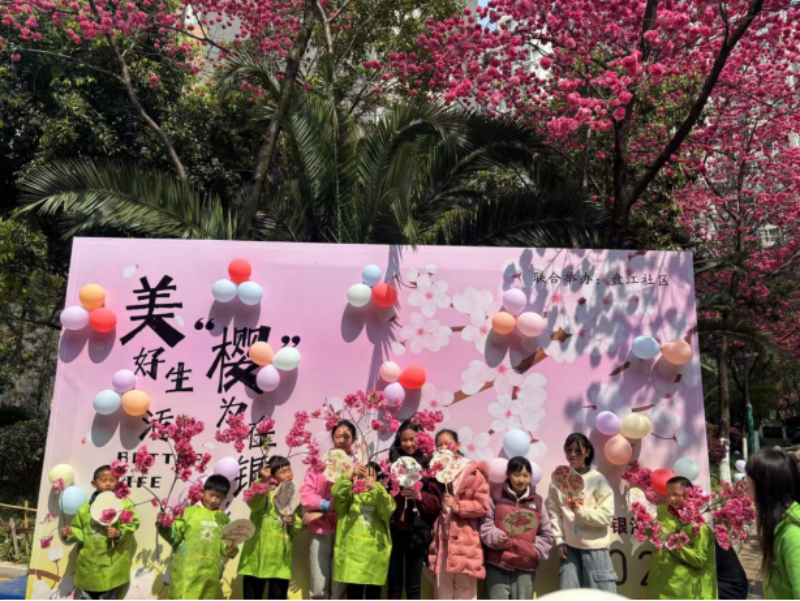 微观盘龙